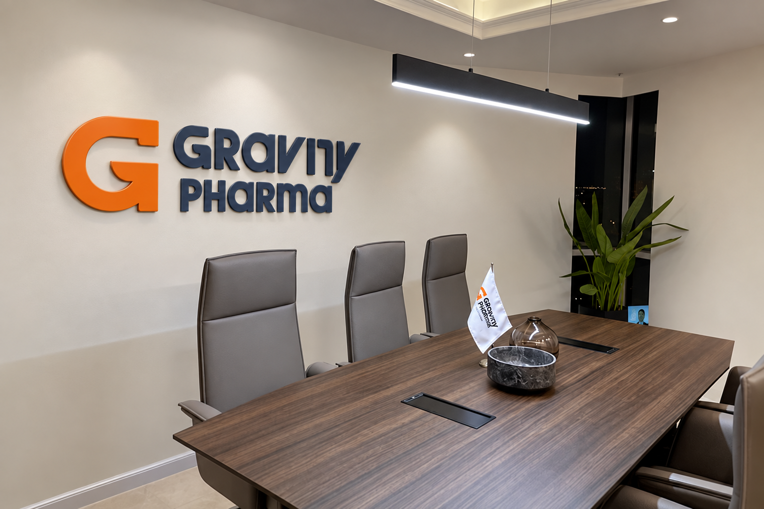 Gravity Pharma meeting room